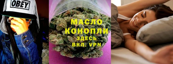 крисы Сатка
